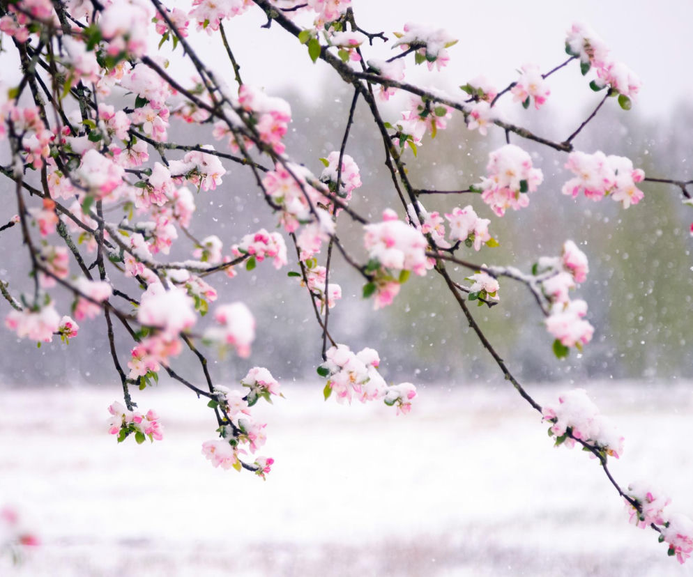 Czy to już wiosna? Zapytaliśmy meteorologa