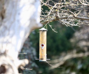 Tak teraz wygląda dom Jarosława Kaczyńskiego
