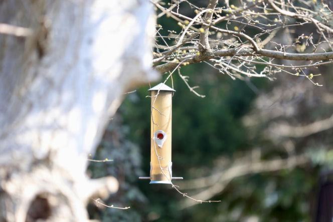 Tak teraz wygląda dom Jarosława Kaczyńskiego
