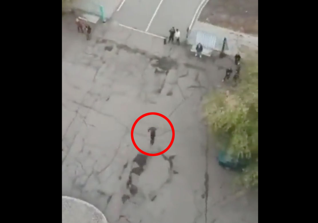 Śmierć na bungee