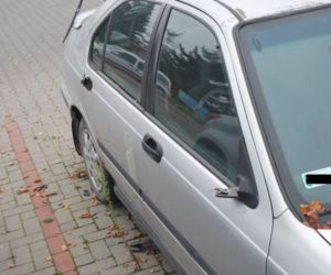 Podkarpacie: Dwóch 18-latków zdemolowało kilka samochodów