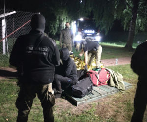 Puszcza Białowieska. Emigranci utknęli na bagnach