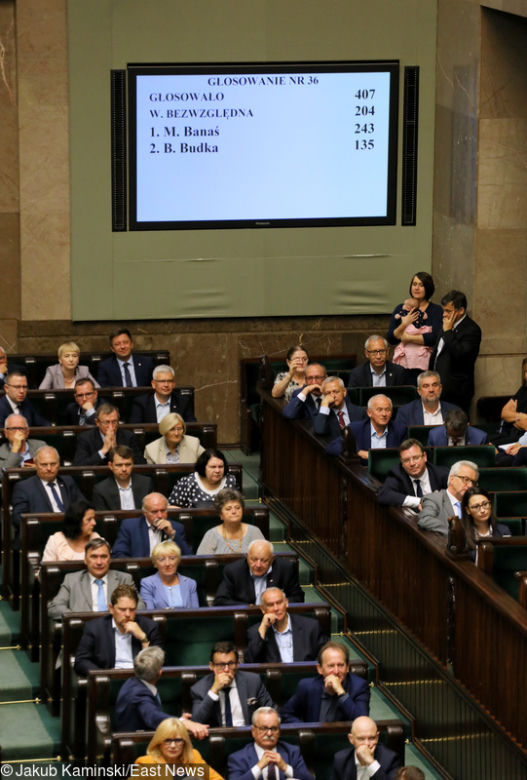 Siarkowska z dzieckiem w sejmie