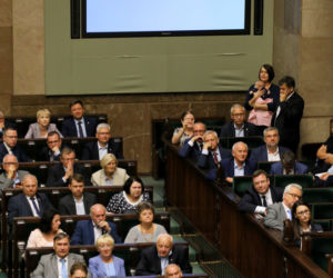 Siarkowska z dzieckiem w sejmie