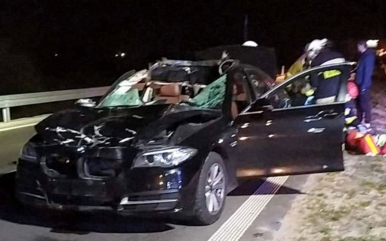 Zderzenie bmw z łosiem w miejscowości Markowszczyzna
