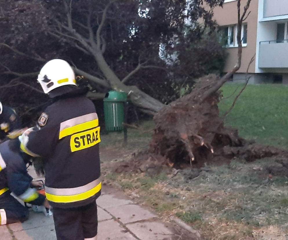Dramatyczne skutki nawałnic! Zerwane dachy, tysiące rodzin bez prądu, 500 interwencji straży!