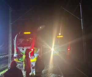 W rejonie Gręzowa pociąg zderzył się z sarną. Ewakuowano pasażerów