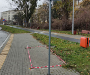 Przystanek-widmo z Torunia stał pusty trzy lata, teraz zniknął. Magistrat milczy.