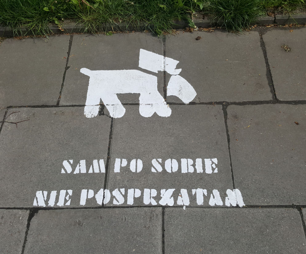 Napisy pojawiły się na chodnikach przy kilku ulicach na Chełmie