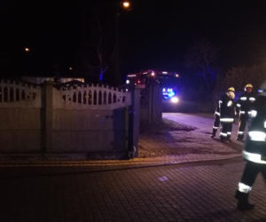 Dwa auta i laweta w ogniu! Na miejscu aż 5 zastępów straży pożarnej