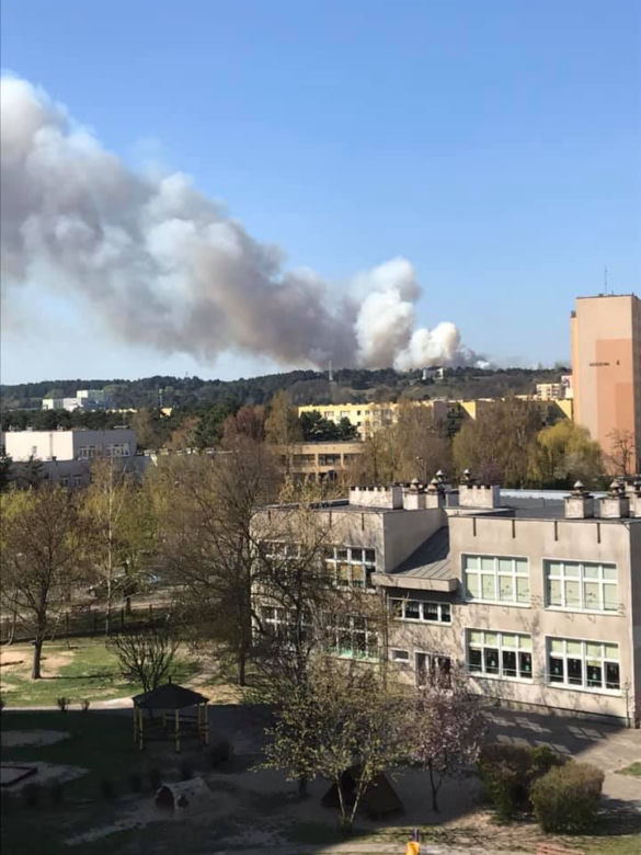 Groźny pożar lasu w bydgoskim Fordonie! [ZDJĘCIA]