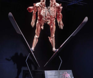 Body Worlds