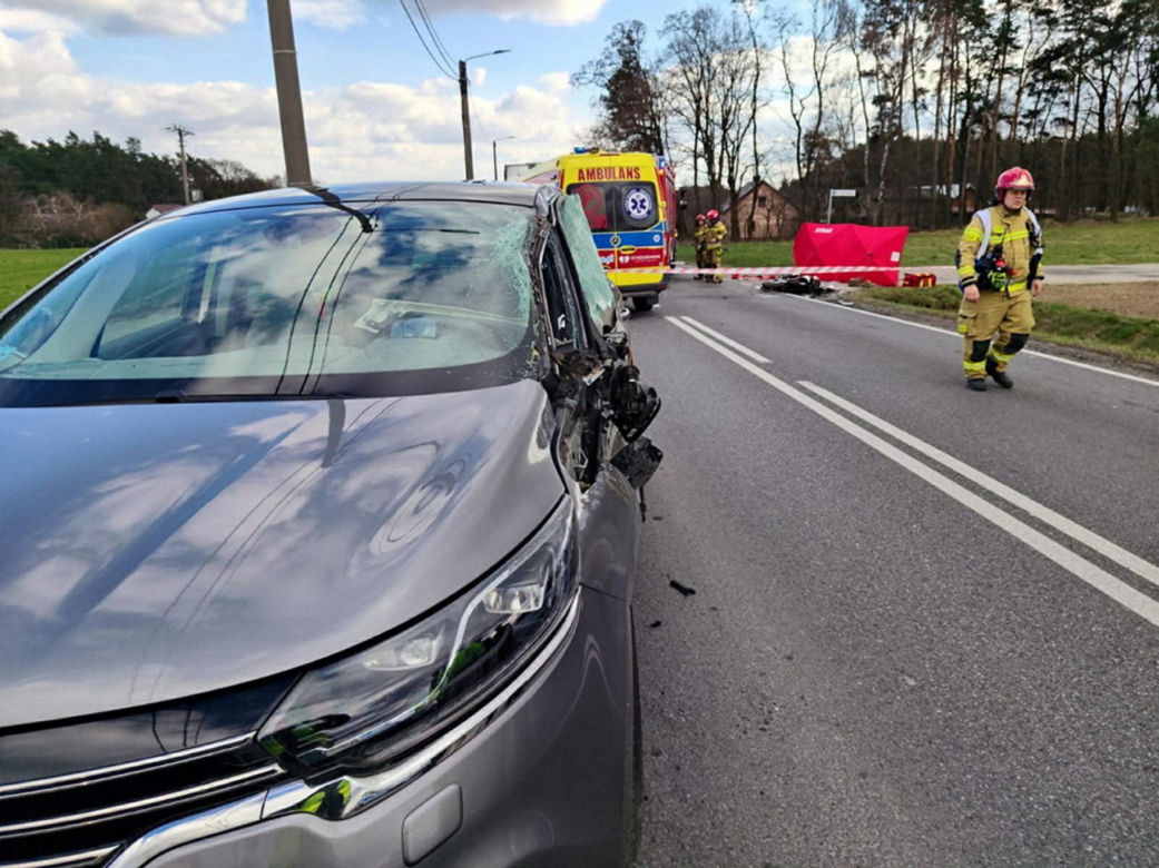 Grób Nikodema utonął w kwiatach