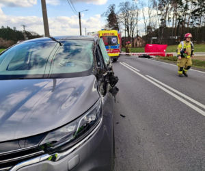 Grób Nikodema utonął w kwiatach