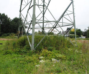 Powiat brzozowski: Próbował ściąć ważący 14 ton słup energetyczny