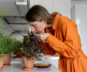 Piękne zapachy do domu z naturalnych składników