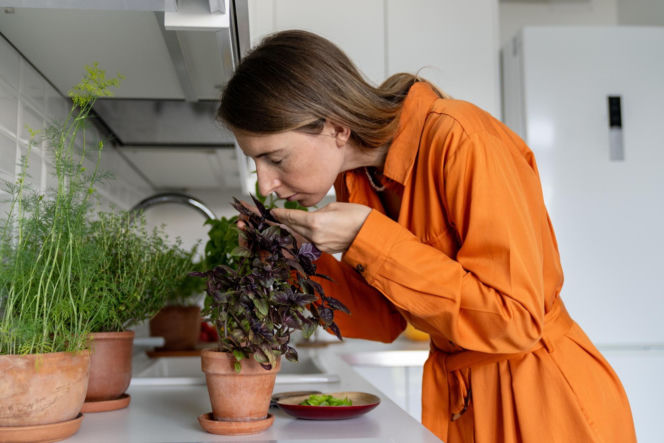 Piękne zapachy do domu z naturalnych składników