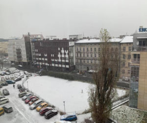 Spadł pierwszy śnieg! Zobacz jak wyglądają ulice Poznania