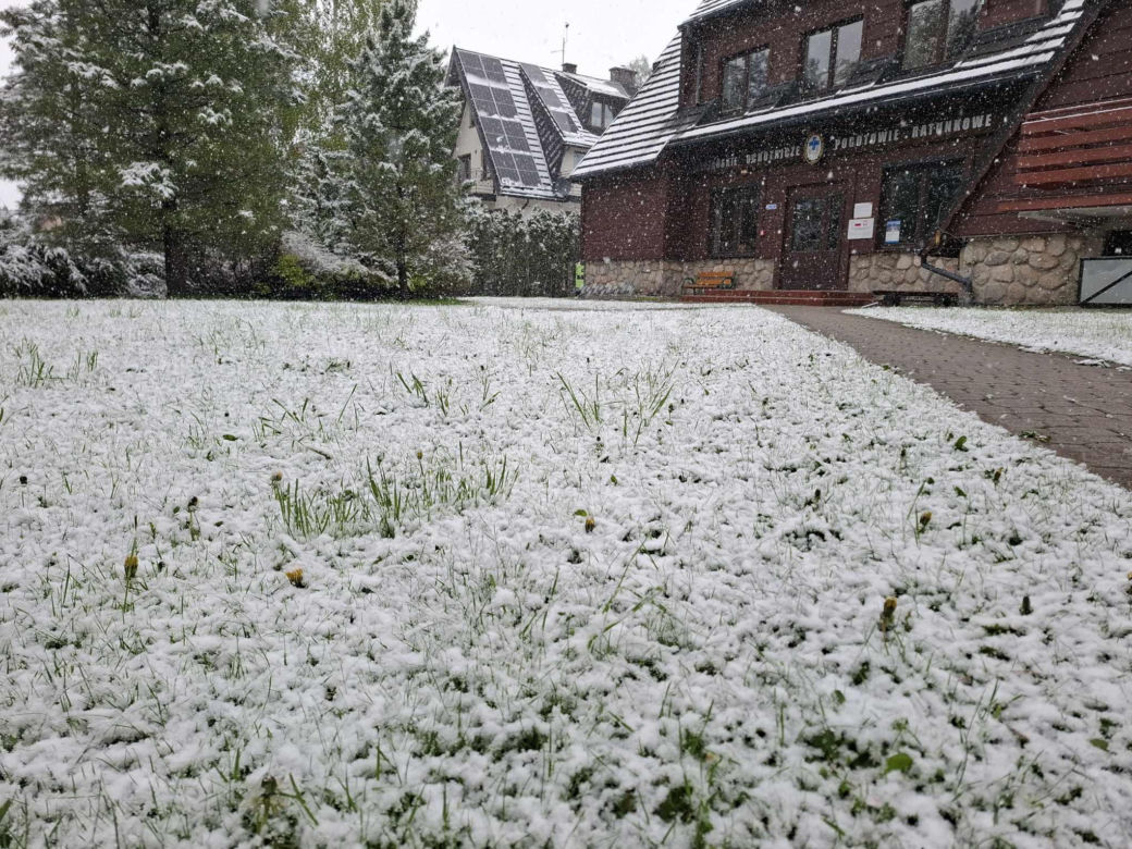 Śnieżyca w Małopolsce. Atak zimy w połowie maja!