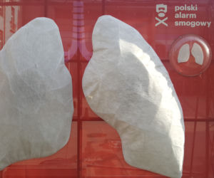 W centrum Bydgoszczy stoją wielkie płuca. 