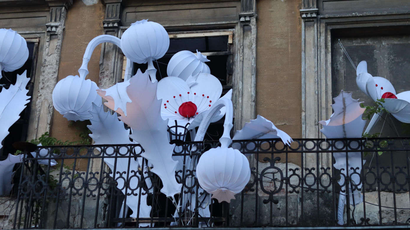 Noc Kultury 2024 w Lublinie wielkim hitem! Na ulicach miast były prawdziwe tłumy! [GALERIA]