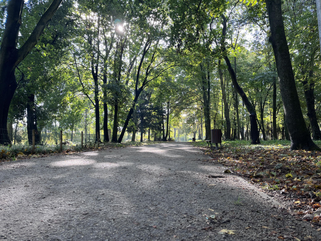 Park Kopernika w Gorzowie w jesiennej scenerii