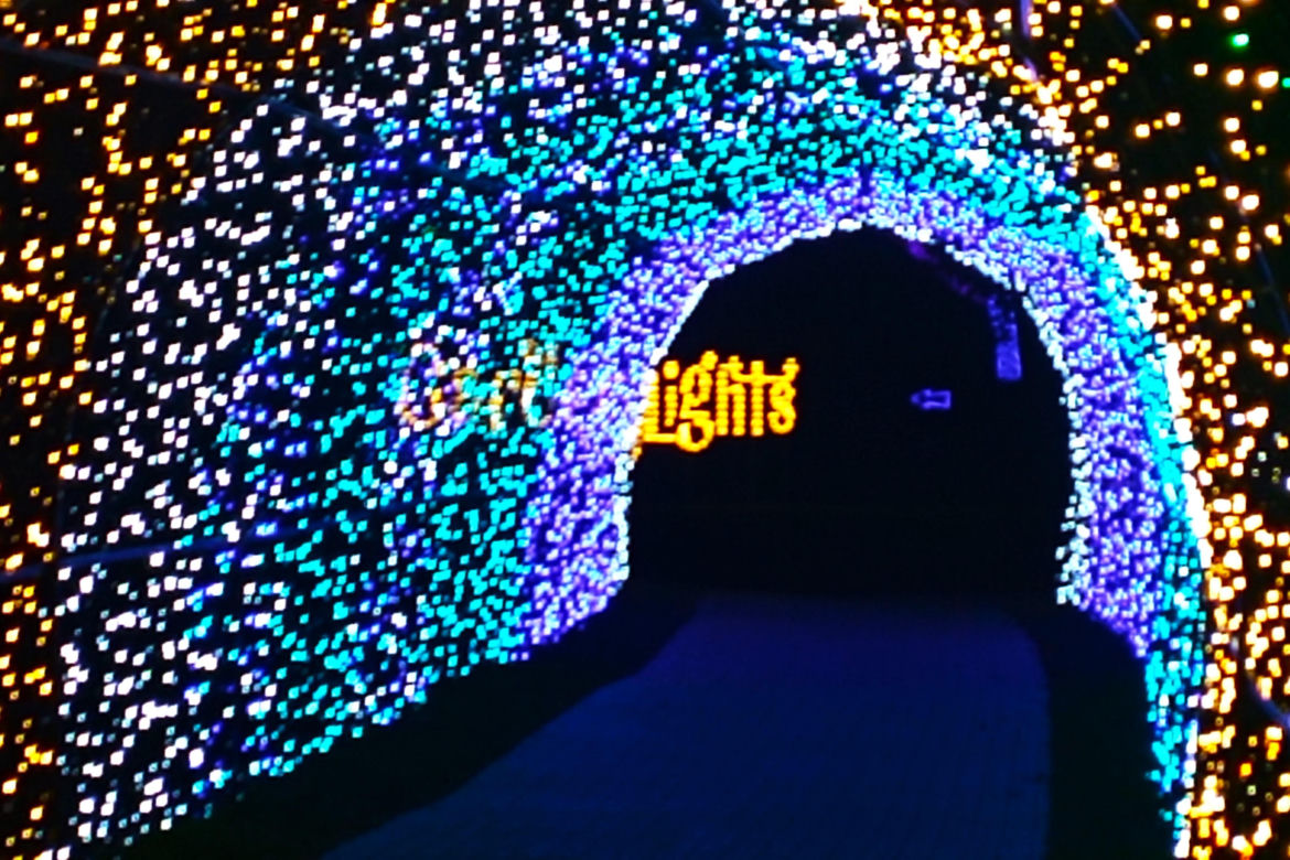 Garden of Lights w Szczecinie