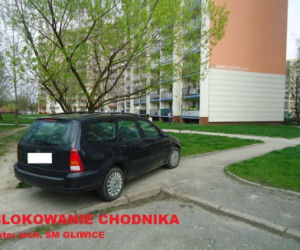 Mistrzowie parkowania z Gliwic