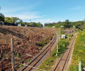 Wycinka drzew na stacji Szczecin Pomorzany