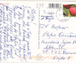 Niesiołowski pogróżki