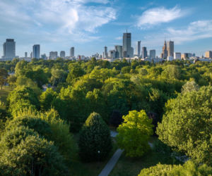 Warszawa miała lotnisko w samym centrum miasta. Dzisiaj jest tam wielki park!