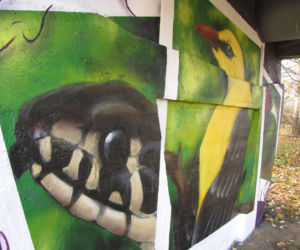 W rejonie Lisiej Góry w Rzeszowie powstał nowy mural. Jest piękny!