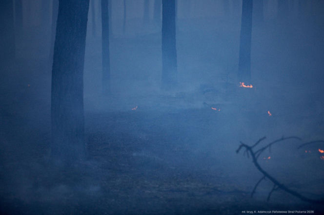Walka z pożarem pod Biłgorajem. Szef MSWiA: „Jesteśmy umiarkowanymi optymistami”