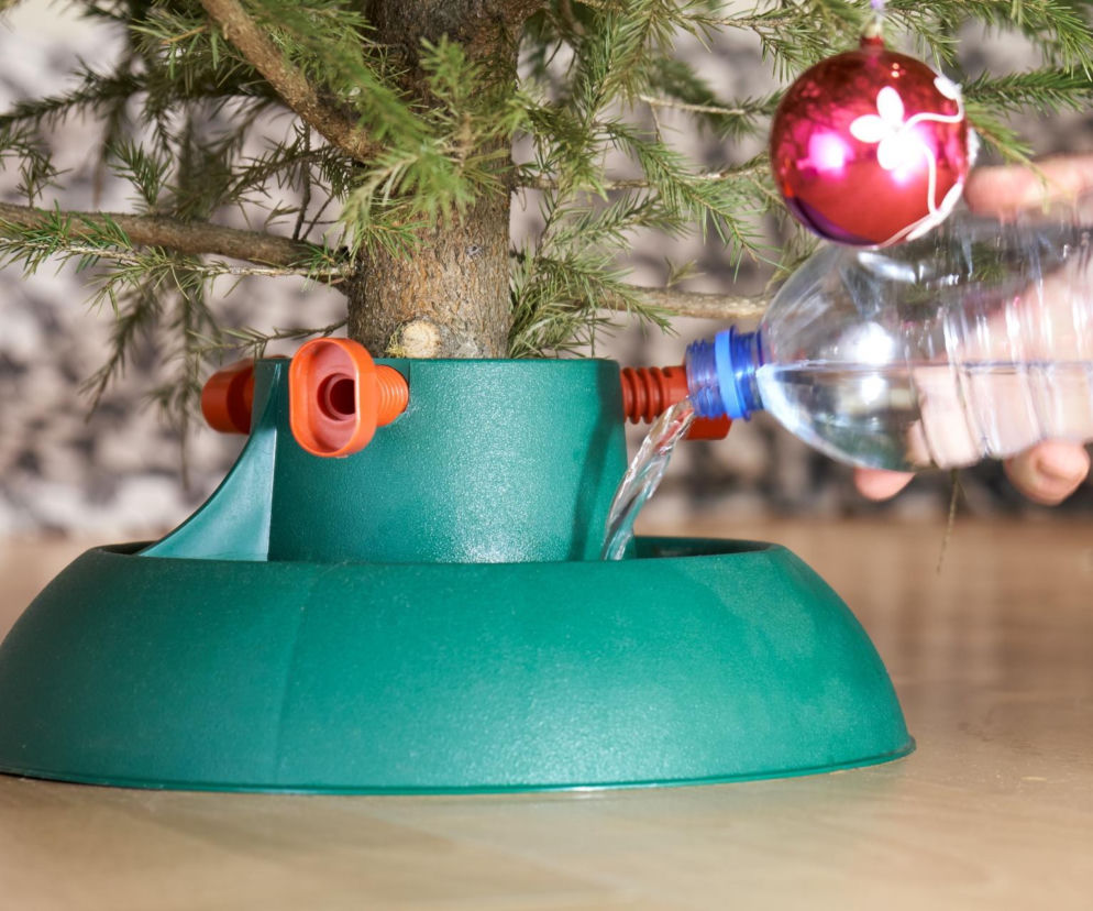 Odżywka do choinki ciętej