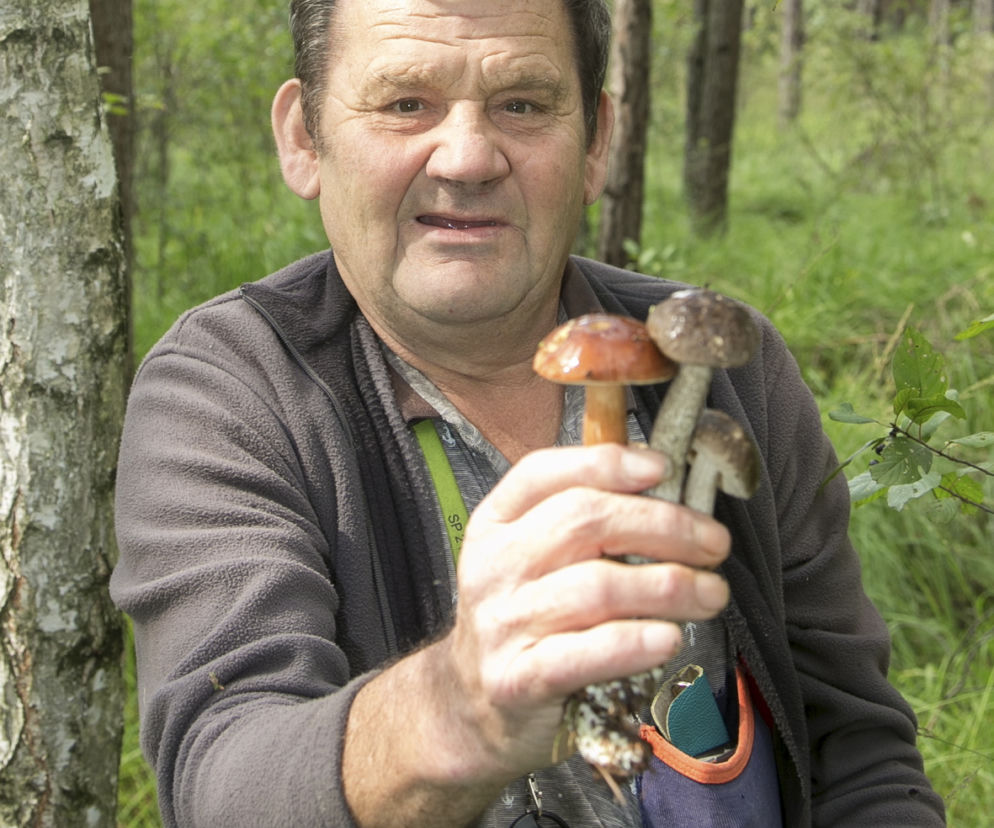 Tutaj ruszaj na grzyby