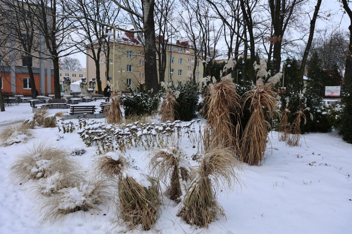 Świdnik w zimowej odsłonie stroi się na święta