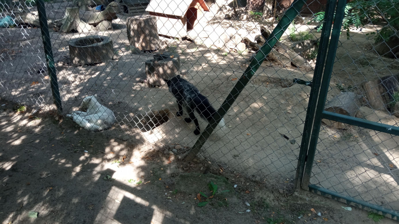 Stare ZOO w Poznaniu. Idealne miejsce na rodzinne spacery w sercu miasta 