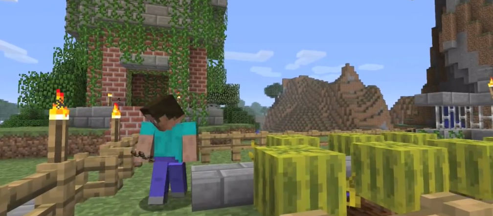 Minecraft