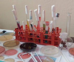 Dzień Otwarty Sanepidu w Zamościu