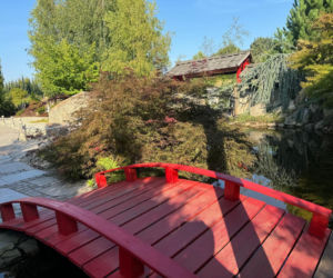 Ogrody Kapias w Goczałkowicach