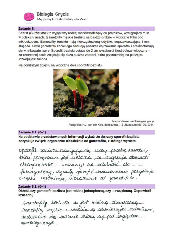 Matura 2024: biologia. Arkusze CKE i odpowiedzi. Poziom rozszerzony [Formuła 2023]