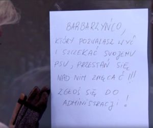 Barwy szczęścia, odc. 2027. Krystyna (Hanna Bieluszko)