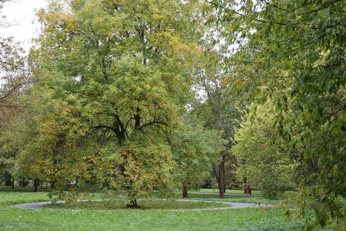 Początek jesieni w Parku Ludowym w Lublinie