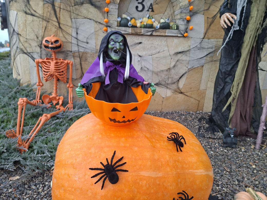 Oto najbardziej halloweenowy dom w Świętokrzyskiem!