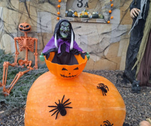 Oto najbardziej halloweenowy dom w Świętokrzyskiem!