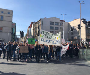 Strajk klimatyczny 