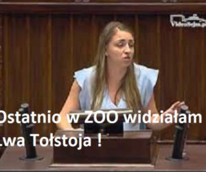 Wpadka posłanki Gajewskiej. Najlepsze MEMY
