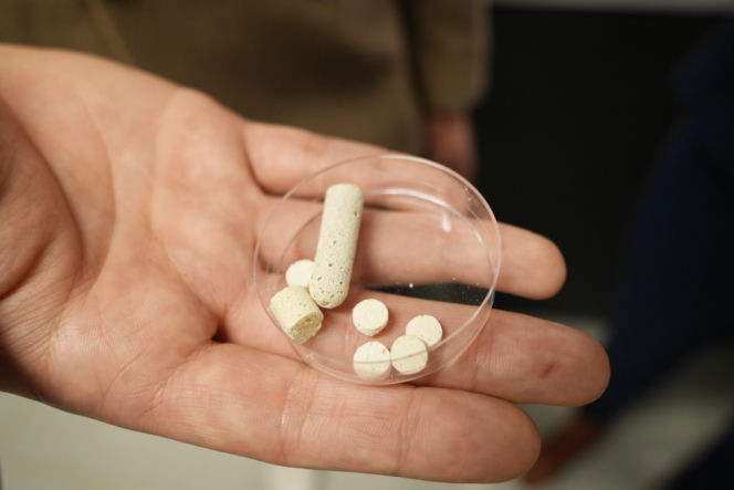 To odmieni leczenie osteoporozy? Naukowcy z Lublina pracują nad innowacyjnym rozwiązaniem