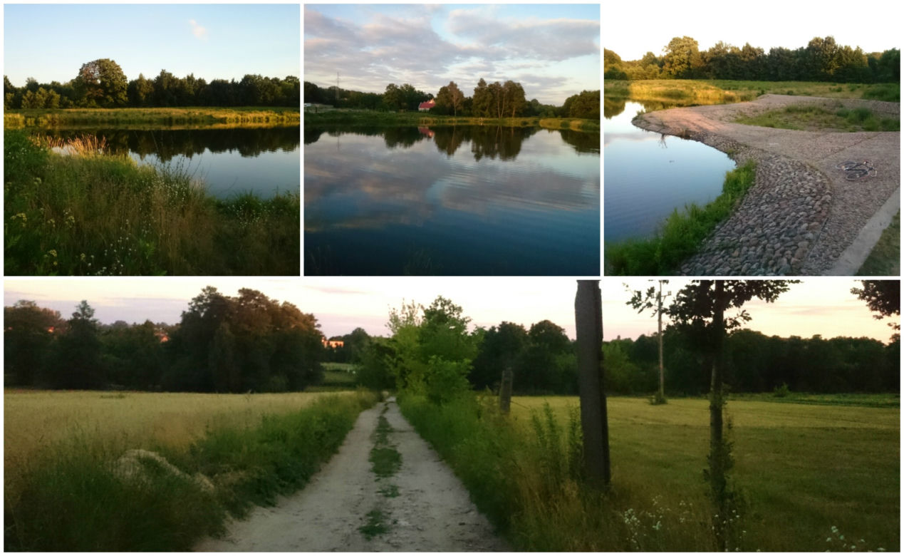4. Park Doliny rzeki Sokołówki