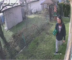 Gliwice: Okradł altankę działkową. Został nagrany jak ucieka z czteropakiem piwa. Rozpoznajesz go? [ZDJĘCIA]